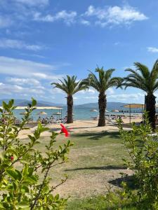 Venosa Beach Resort & Spa - All Inclusive - 36