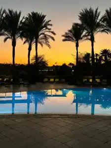 Jaz Makadi Saraya Palms - 17