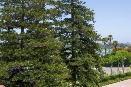 del Coronado, Curio Collection by Hilton - 13