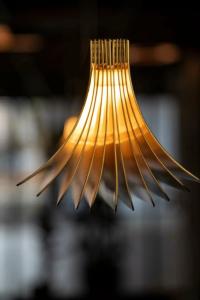 Paxton Barcelona - 18