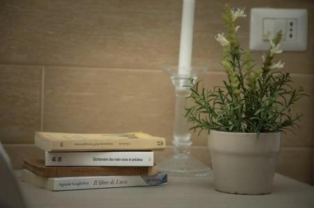 Ideal City Walk - 46