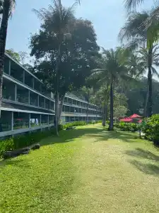 Amari Phuket - SHA Extra Plus - 32