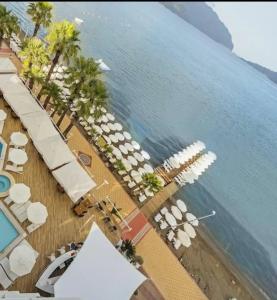 Poseidon - Adult Only - 16