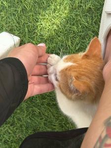 Paydos Otel Yarımada - 13