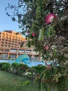 Hilton Hurghada Plaza - 30