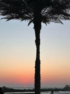 Bahi Ajman Palace - 60