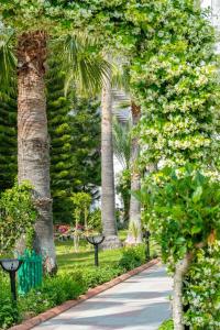 Stella Beach All Inclusive - 46