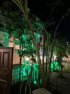Mediterra Art Antalya - 19