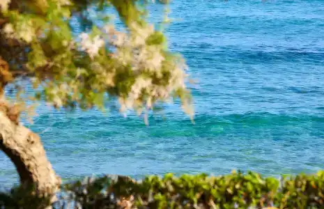 Alexander Beach & Village Resort - 39