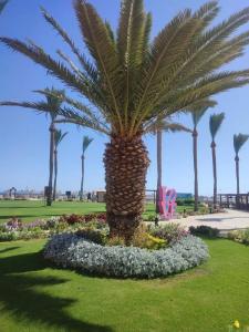 Stella Beach Resort & Spa, Makadi Bay - 47