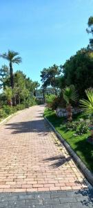 Blue Dreams Resort - 53