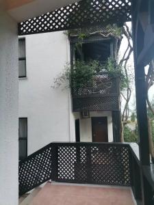 Club Titan Ultra All Inclusive - 71