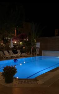 Villa Sonata - 62