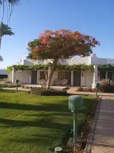 Shams Safaga Resort - 47