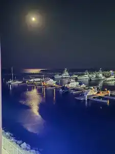 Al Bahar & Resort - 69