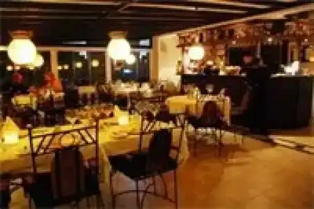 Conny's (Adult Only) +18 - 29
