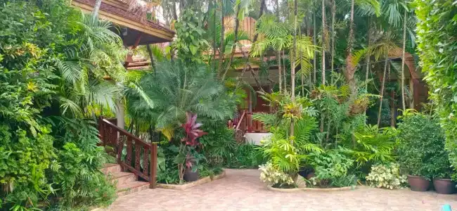 Bangtao Village Resort - SHA - 91