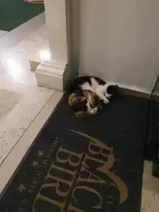 Black Bird Thermal & SPA - 26