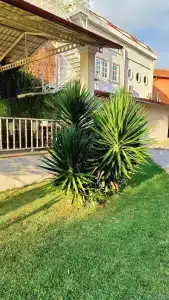 Armas Green Fugla Beach - 62