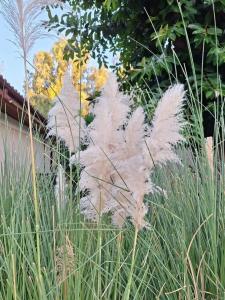 Champion Holiday Village - 79