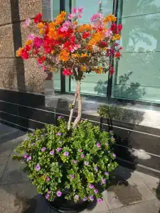 Radisson Blu, Dubai Media City - 67