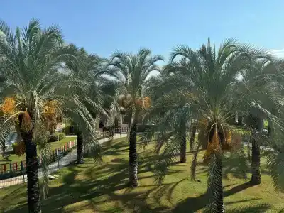 Kempinski The Dome Belek - 100