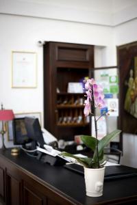 Terranobile Metaresort - 29