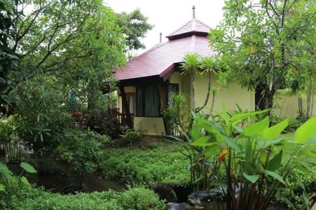 Seaview Resort Khao Lak - SHA Plus - 41