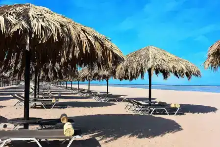 Steigenberger Alcazar - 19