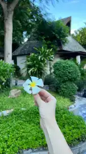Baan Haad Ngam Boutique Resort - SHA Extra Plus - 26