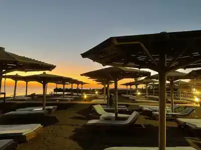 Palm Beach Resort Families and Couples only - 50