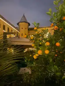 Four Seasons Istanbul at Sultanahmet - 13