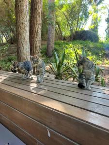 Voyage Belek Golf & Spa - 40