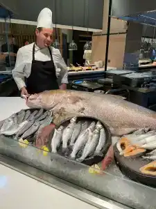 Paloma Finesse Side - 26