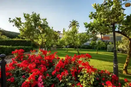 Villa Irlanda Grand