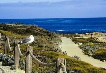 Asilomar Conference Grounds - 28