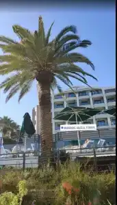 Premier Nergis Beach & SPA - 38