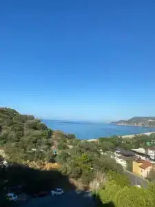 Sunny Hill Alya - 62