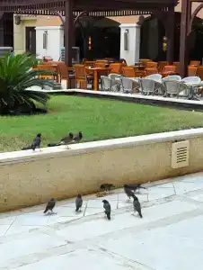 Marjan Island Resort & Spa Managed By Accor - 51