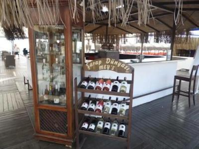 Greenland - All Inclusive - 50