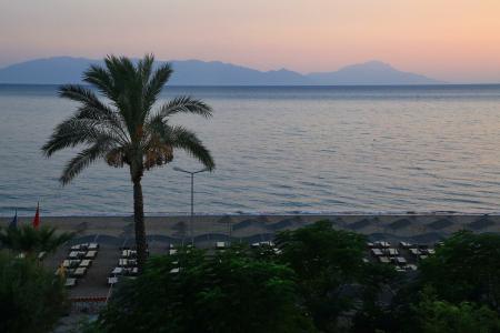 Club Cactus Paradise - 92