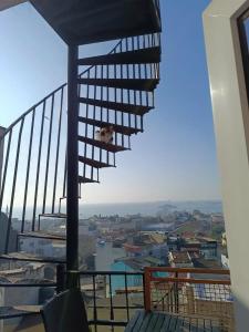 Tulip House - 10