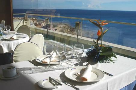 Masa International - 40