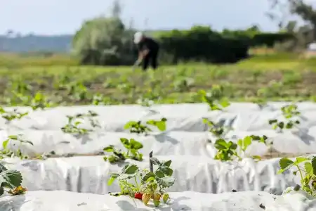 Labranda Lebedos Princess - All Inclusive - 44