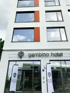 gambino CINCINNATI - 9