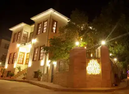 Ada Palas Buyukada - 1