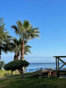 Amsterdam Otel & Suite Apart - 27