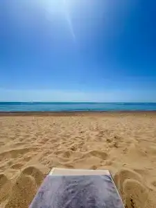 Paloma Finesse Side - 36