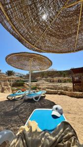 Dreams Vacation Resort - Sharm El Sheikh - 19