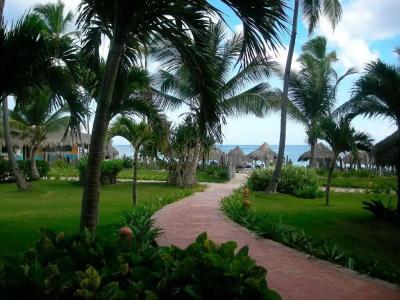 VIK Arena Blanca - 59